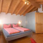Slalom Hotel 3*